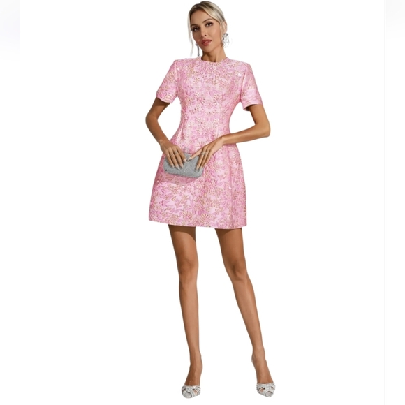 Catchall Astrid Frozen Berry Jacquard Floral Mini Dress Size Small NWT - Picture 14 of 14